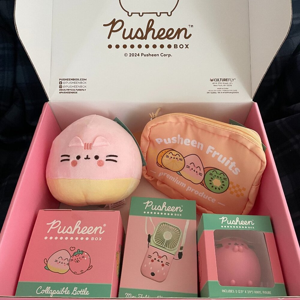 Pusheen Box Summer 2024